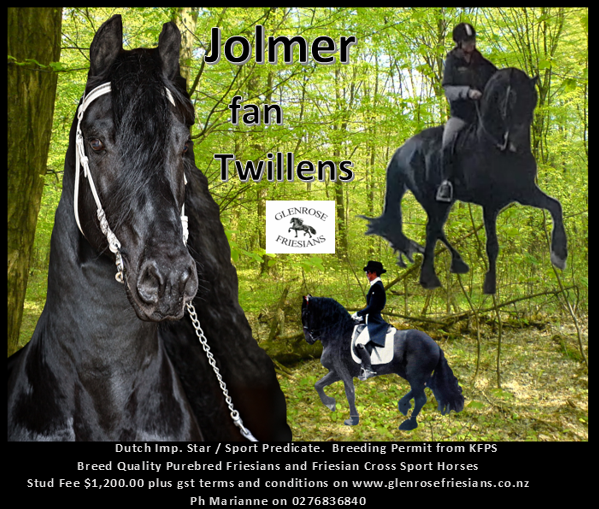 Jolmer fan Twillens