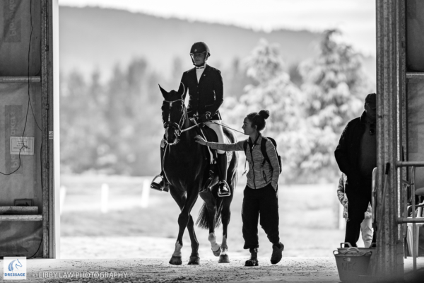 Nikita Osborne rides SF Austin during the EquiBreed 4 Year Old Future Star - Round 1. 2019 Future Star Dressage Championships at the National Equestrian Center, Taupo. Thursday 11 April. Copyright Photo: Libby Law Photography