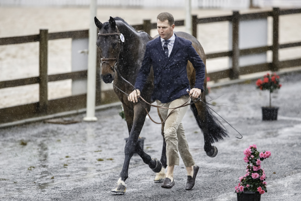 NZL-Jesse Campbell presents Diachello during the 1st Horse Inspection. 2023 FRA-Les 5 Etoiles de Pau CCI5*. Pau, France. Thursday 26 October 2023. Copyright Photo: Libby Law Photography